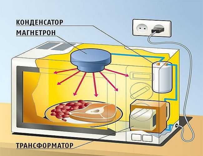 Ель во дворе плохая примета или выдумка и суеверие? 33 Ель во дворе плохая примета или выдумка и суеверие? 24