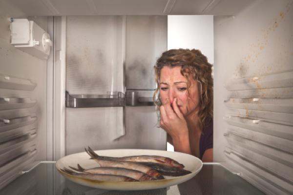 Неприятный запах в холодильнике