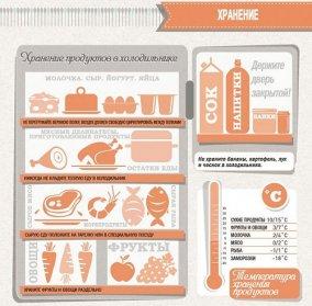 Расположение продуктов в холодильнике по полкам дома