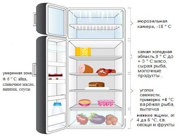 Температурные зоны однокамерного холодильника