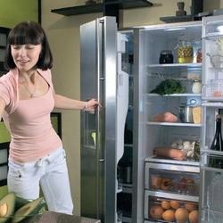 Можно ли заменить резинку на двери холодильника