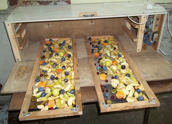 Процесс изготовления сушилки для овощей и фруктов своими руками фото