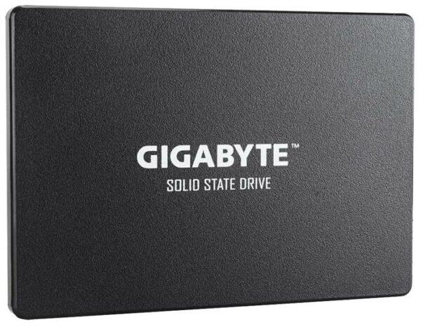 GIGABYTE 1000 GB GP-GSTFS31100TNTD