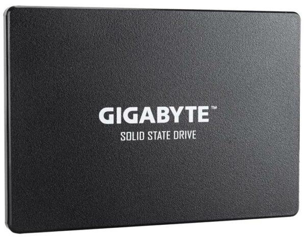 GIGABYTE 256 GB SSD 256GB (GP-GSTFS31256GTND)