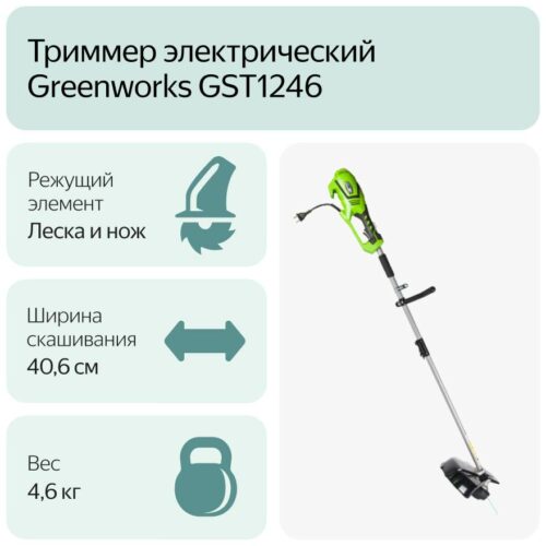 greenworks 1301807 GST1246