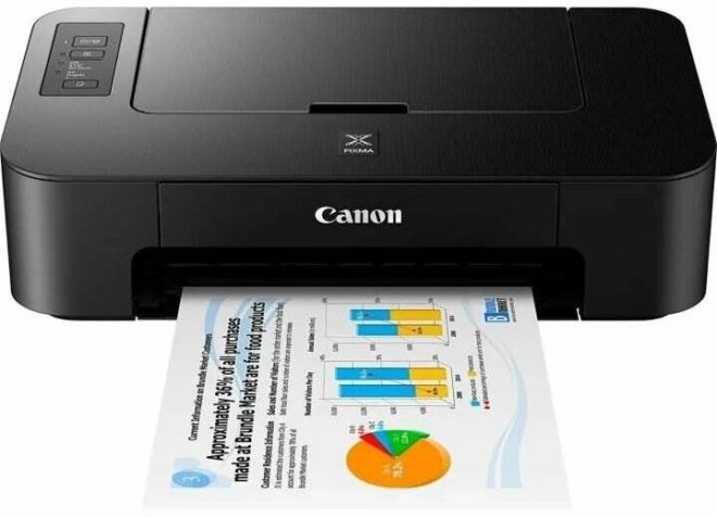 Принтер струйный цветной Canon Pixma TS205 A4, 4800x1200 dpi, 8 ч/б - 3.9 изобр./мин, USB