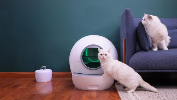 Появился умный кошачий лоток AmiCura cura1 с автоматической дверью